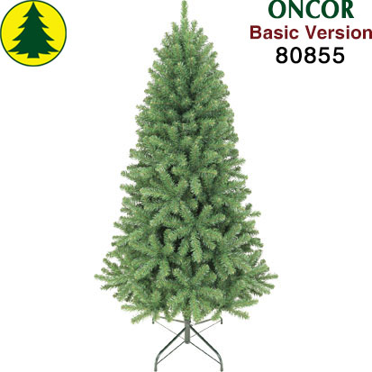 Item 80855 : 5.5ft Aspen Fir